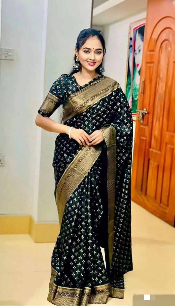 Japani Silk Sharee with Blouse Piece ছবি 15