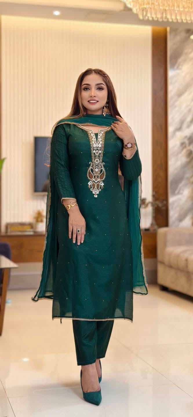 Embroidery Three Piece ছবি 2