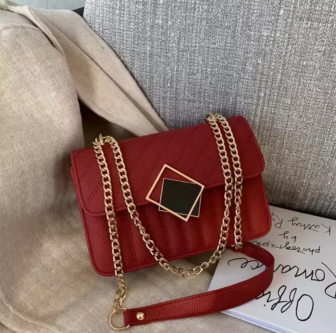 Stylish Ladies Bag ছবি 3