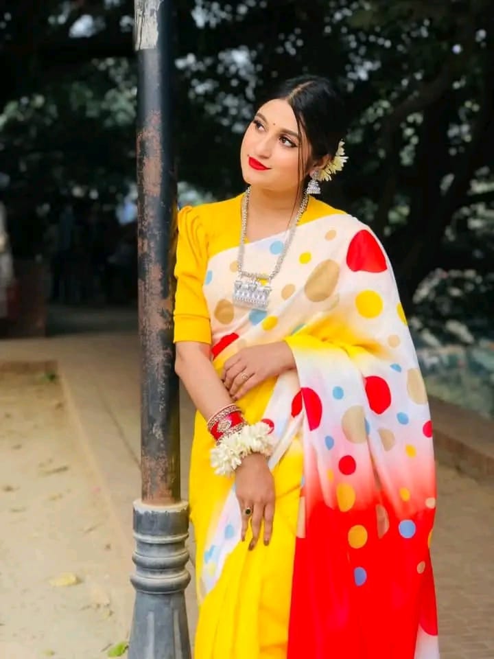 চান্দুরি সিল্ক শাড়ি ছবি 3