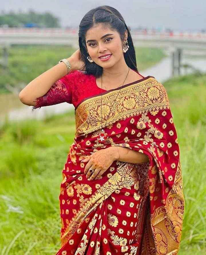 সিল্ক কাতান শাড়ি ছবি 2