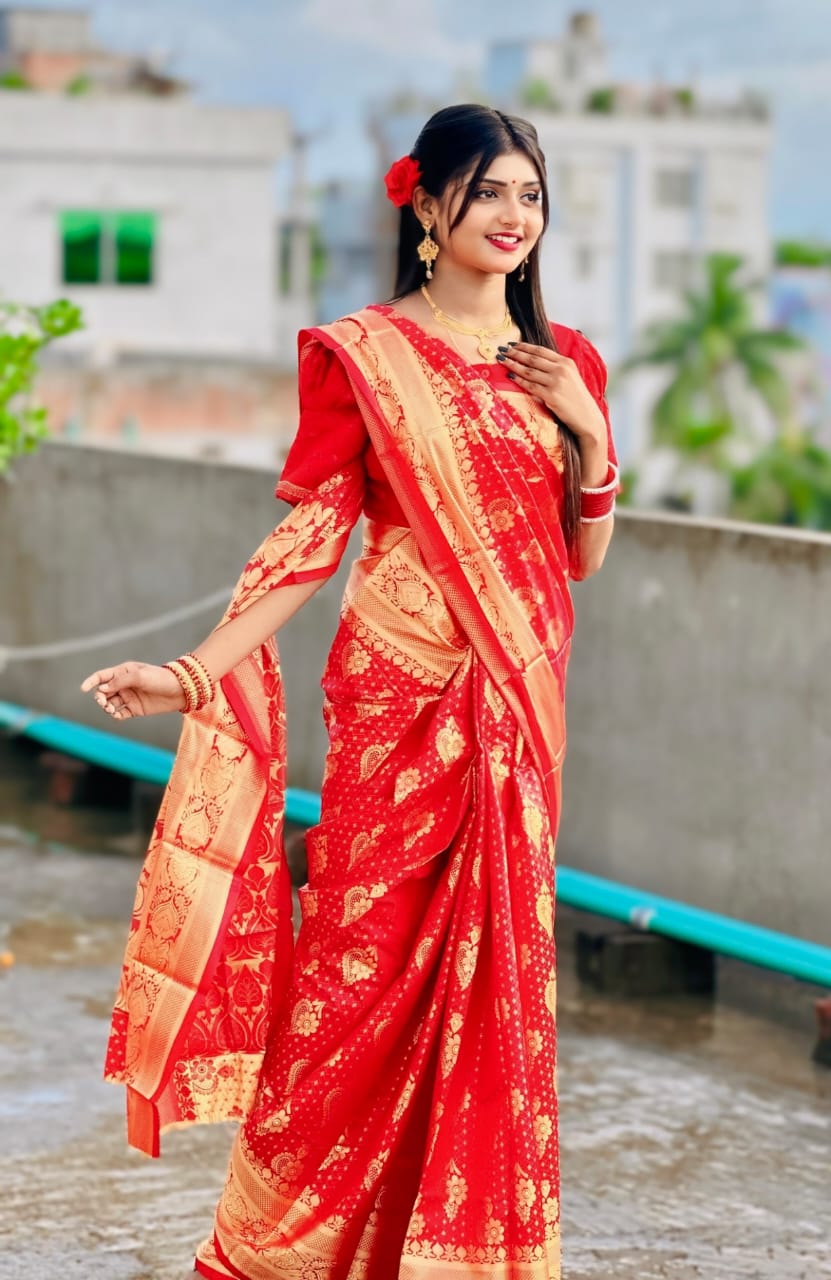 Soft silk katan sharee ছবি 3