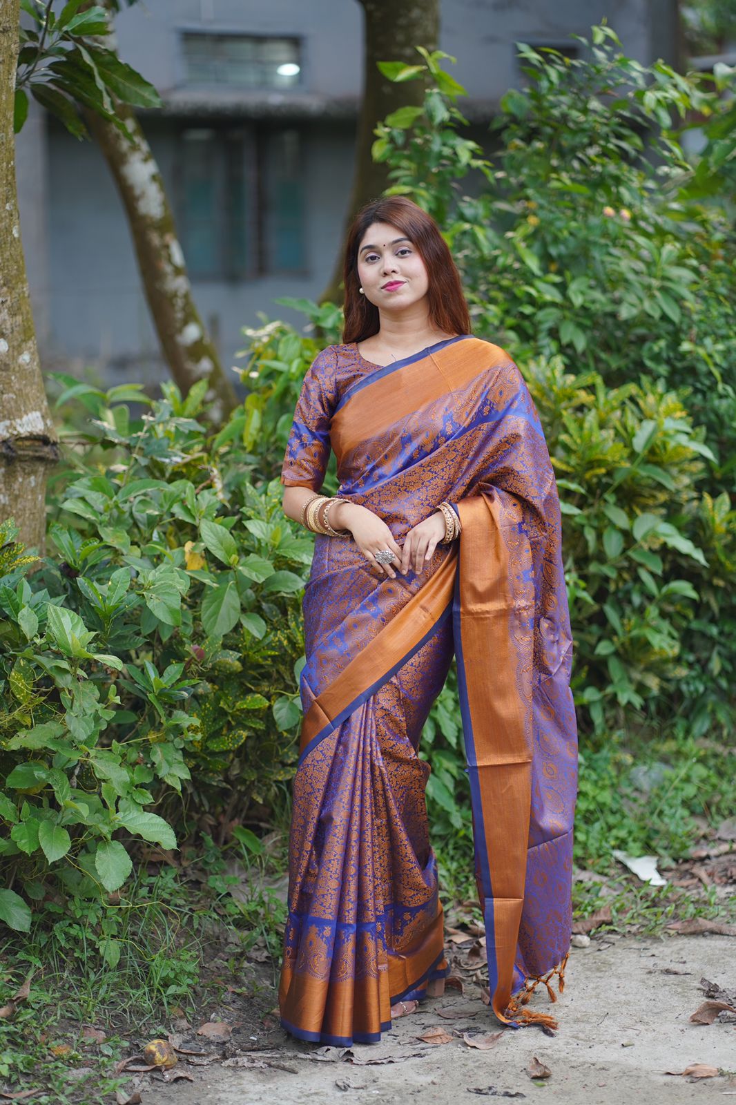 Kanjivaram katan Sharee ছবি 2