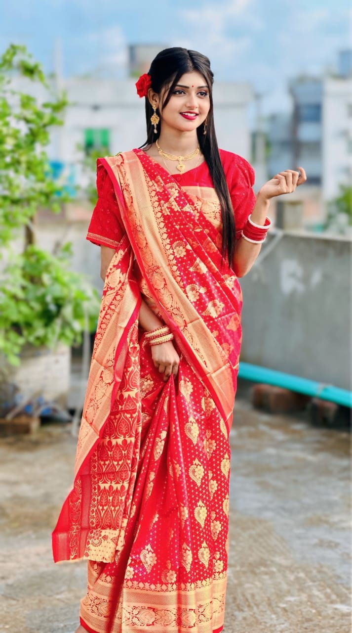 Soft silk katan sharee ছবি 5