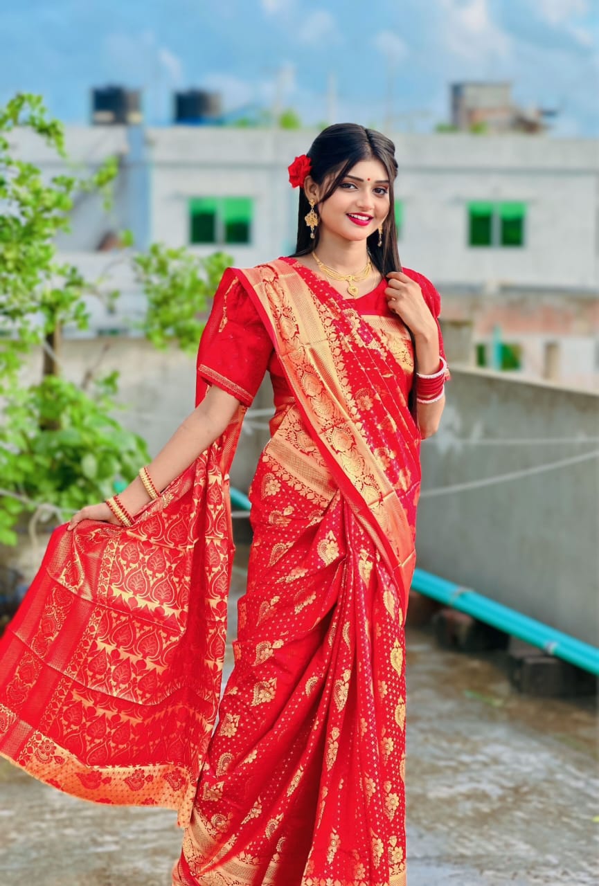 Soft silk katan sharee ছবি 6