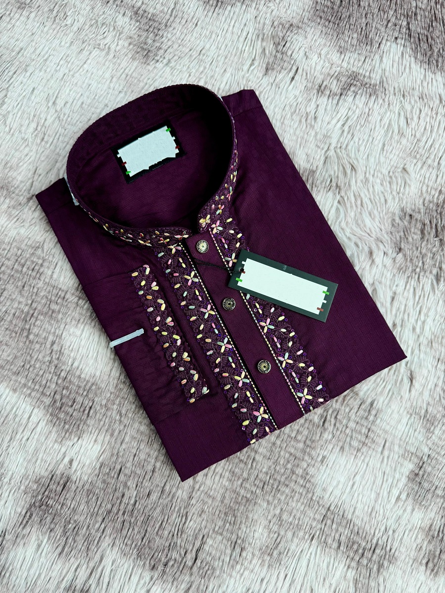 Sequence Embroidery Panjabi ছবি 3