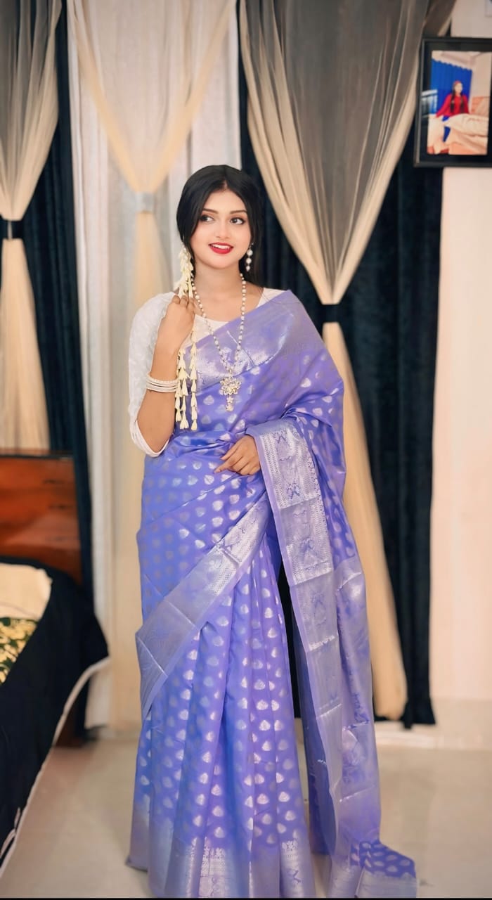 Soft silk katan sharee ছবি 2