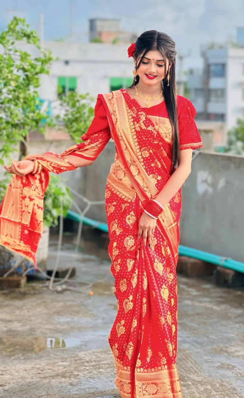 Soft silk katan sharee ছবি 8